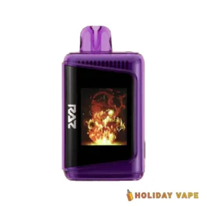Grape Ice - Raz DC 25k Puffs - Disposable Vape