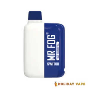 Blue Raspberry Ice Mr Fog Switch 5500