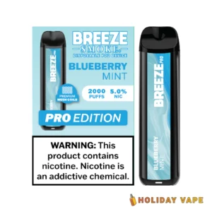 Blueberry Mint - Breeze Pro 2000 Puffs - 5% NIC - Disposable Vape